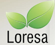 LORESA COSMETIC,                                            S.A. DE C.V. 